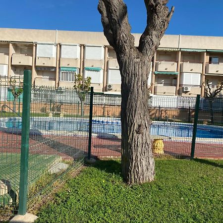 Apartamento Mil Palmeras Pilar de la Horadada Eksteriør bilde
